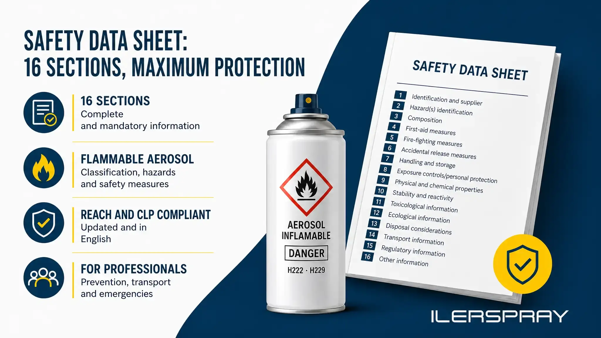 An Aerosol Safety Data Sheet Has 16 Sections